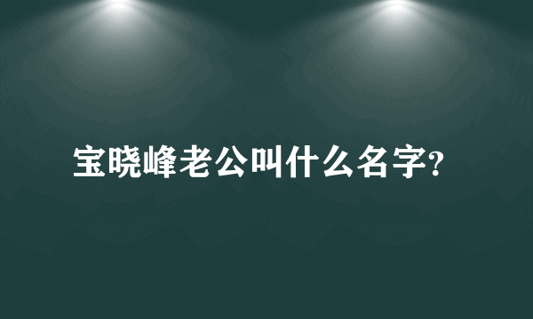 宝晓峰老公叫什么名字？