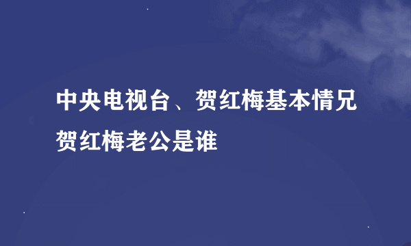 中央电视台、贺红梅基本情兄贺红梅老公是谁