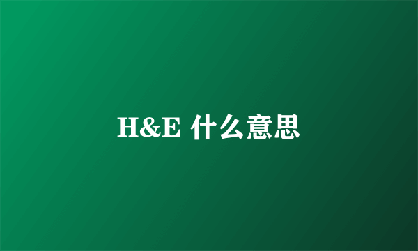 H&E 什么意思