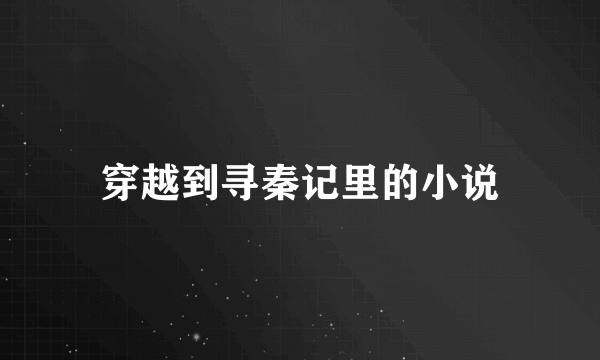 穿越到寻秦记里的小说