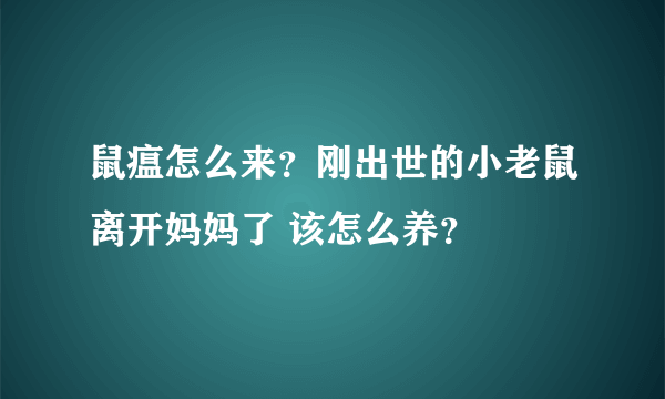 鼠瘟怎么来？刚出世的小老鼠离开妈妈了 该怎么养？