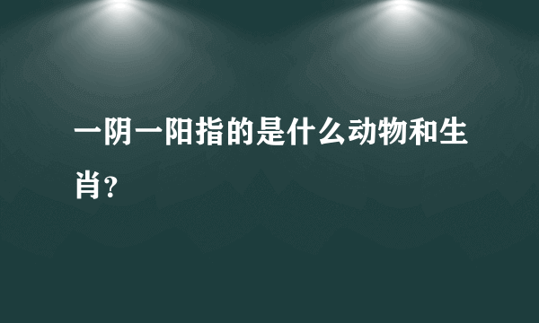 一阴一阳指的是什么动物和生肖？