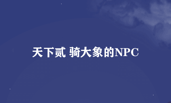 天下贰 骑大象的NPC