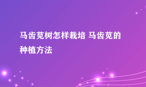 马齿苋树怎样栽培 马齿苋的种植方法