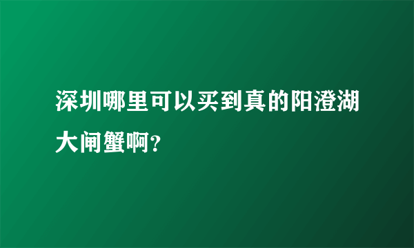 深圳哪里可以买到真的阳澄湖大闸蟹啊？