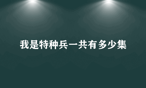 我是特种兵一共有多少集