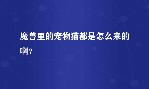 魔兽里的宠物猫都是怎么来的啊？