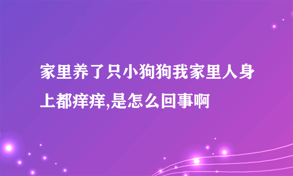 家里养了只小狗狗我家里人身上都痒痒,是怎么回事啊