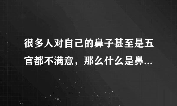 很多人对自己的鼻子甚至是五官都不满意，那么什么是鼻翼上提整形术？