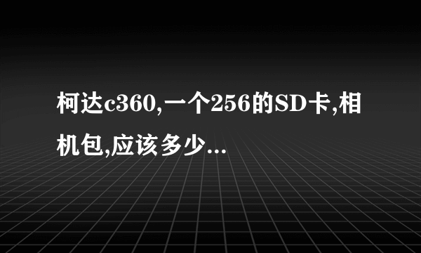 柯达c360,一个256的SD卡,相机包,应该多少钱合适?