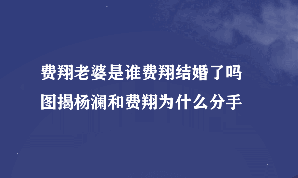 费翔老婆是谁费翔结婚了吗 图揭杨澜和费翔为什么分手