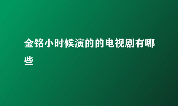 金铭小时候演的的电视剧有哪些