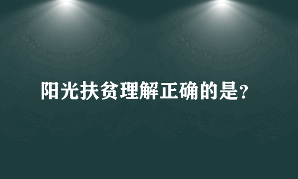 阳光扶贫理解正确的是？