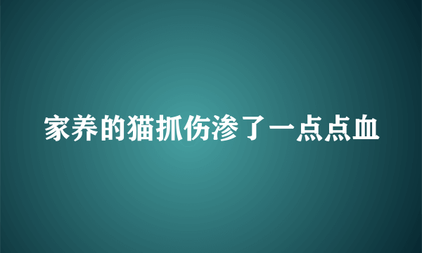 家养的猫抓伤渗了一点点血