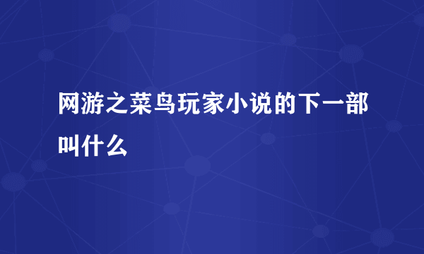 网游之菜鸟玩家小说的下一部叫什么