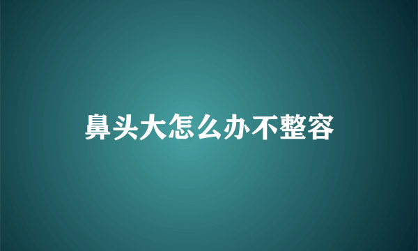 鼻头大怎么办不整容