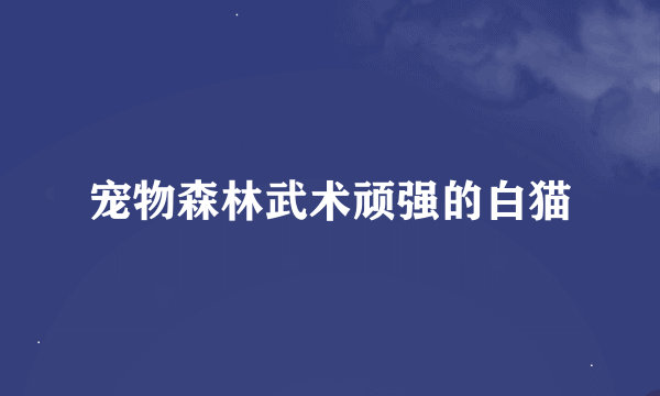 宠物森林武术顽强的白猫