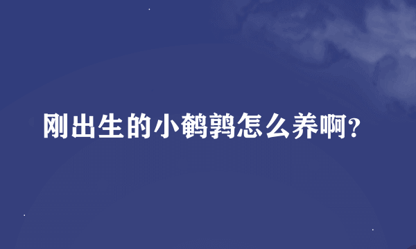 刚出生的小鹌鹑怎么养啊？