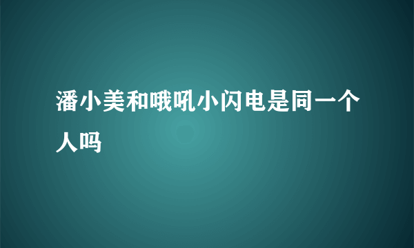 潘小美和哦吼小闪电是同一个人吗