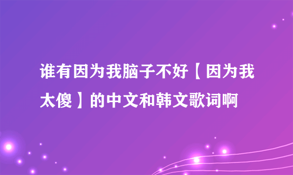 谁有因为我脑子不好【因为我太傻】的中文和韩文歌词啊