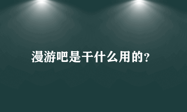 漫游吧是干什么用的？