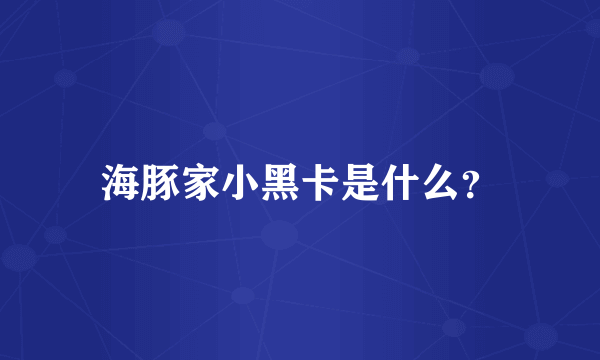 海豚家小黑卡是什么？