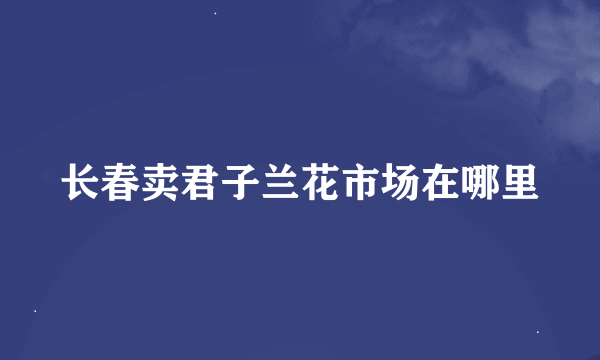 长春卖君子兰花市场在哪里