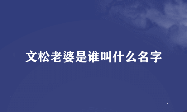 文松老婆是谁叫什么名字