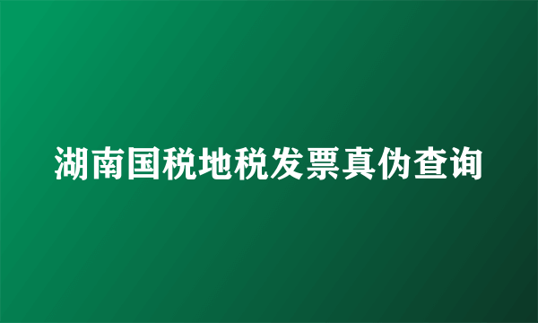 湖南国税地税发票真伪查询