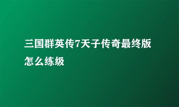 三国群英传7天子传奇最终版怎么练级