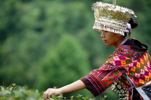 苗族妇女在节日里的打扮和苗族未婚少女有什么区别？