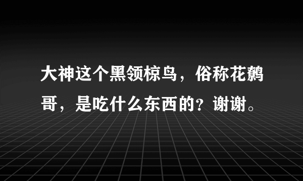 大神这个黑领椋鸟，俗称花鹩哥，是吃什么东西的？谢谢。