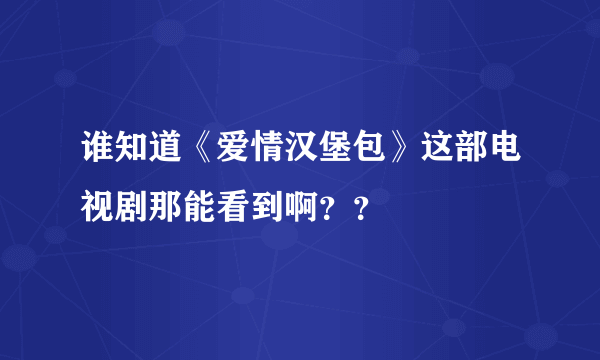 谁知道《爱情汉堡包》这部电视剧那能看到啊？？