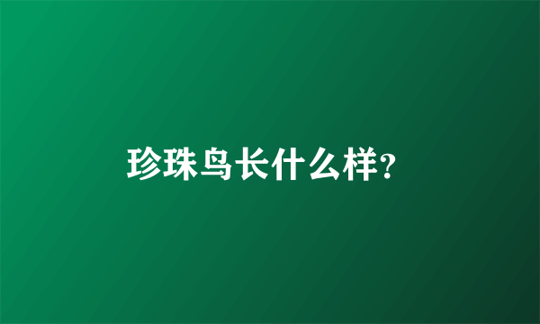 珍珠鸟长什么样？