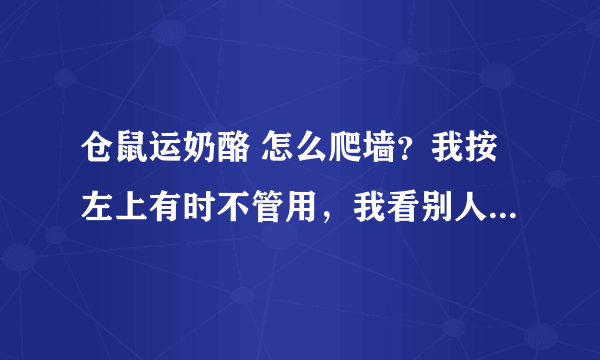 仓鼠运奶酪 怎么爬墙？我按左上有时不管用，我看别人说上左下右循环，不行啊！