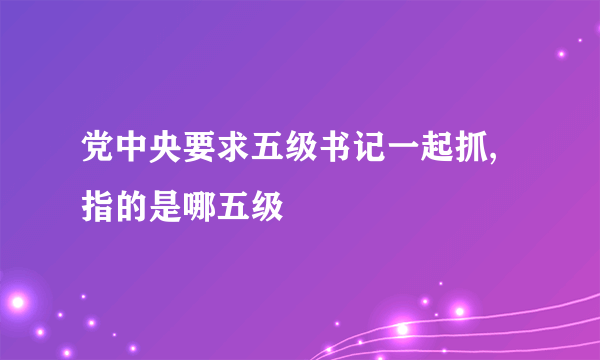 党中央要求五级书记一起抓,指的是哪五级