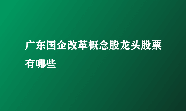 广东国企改革概念股龙头股票有哪些