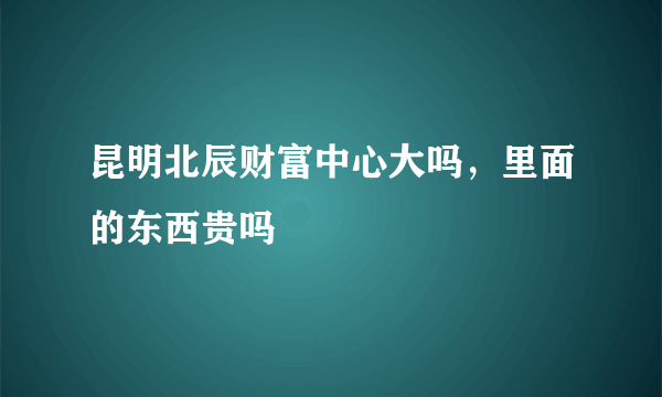 昆明北辰财富中心大吗，里面的东西贵吗