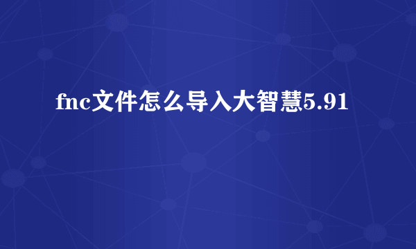 fnc文件怎么导入大智慧5.91