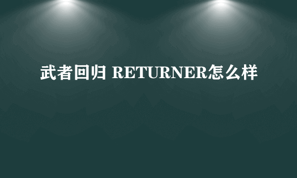 武者回归 RETURNER怎么样