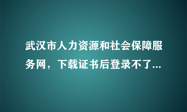 武汉市人力资源和社会保障服务网，下载证书后登录不了是什么原因？