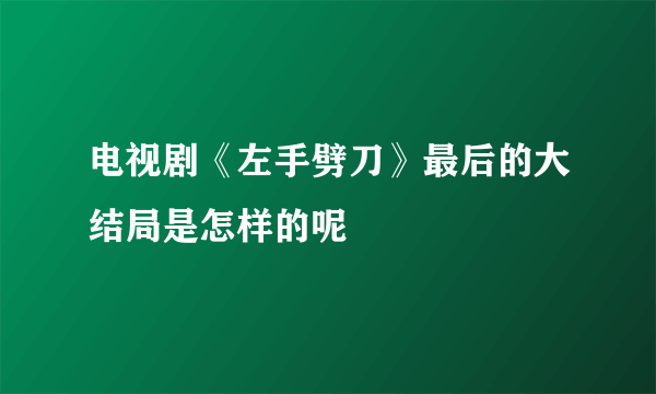 电视剧《左手劈刀》最后的大结局是怎样的呢