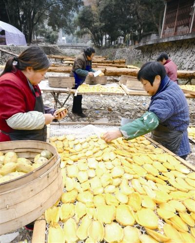 巴西总统建议民众去邻国买米，对于今年肉价上涨，粮食价格上涨你怎么看？