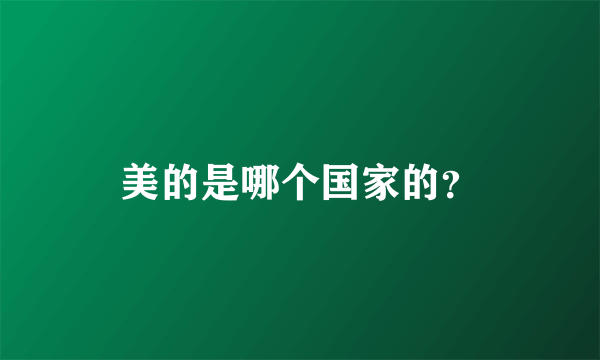 美的是哪个国家的？