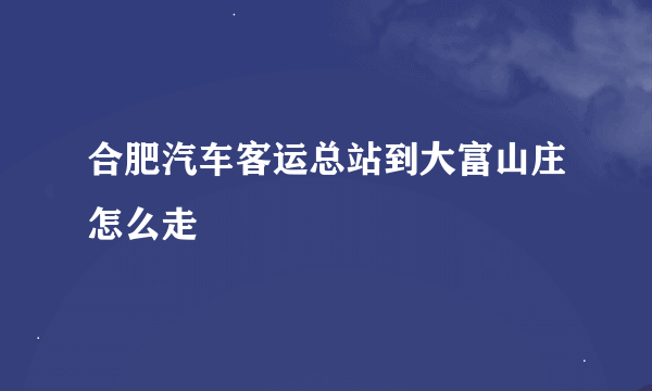 合肥汽车客运总站到大富山庄怎么走