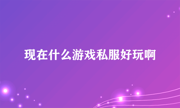 现在什么游戏私服好玩啊