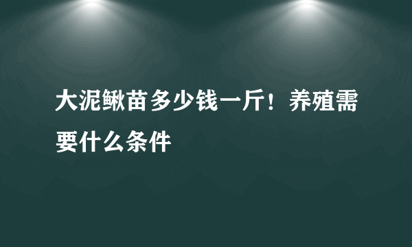 大泥鳅苗多少钱一斤！养殖需要什么条件