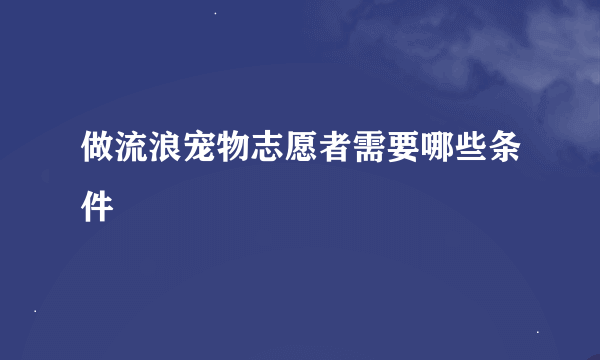 做流浪宠物志愿者需要哪些条件