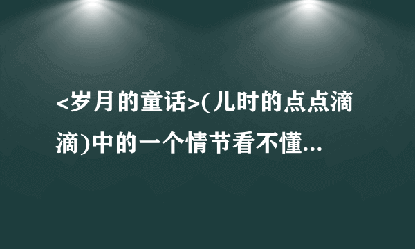 <岁月的童话>(儿时的点点滴滴)中的一个情节看不懂,请解释