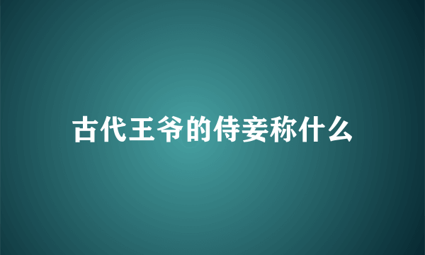 古代王爷的侍妾称什么